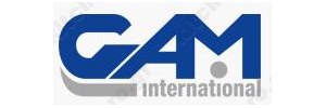 GAM of Italy