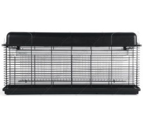 Εντομοπαγίδες