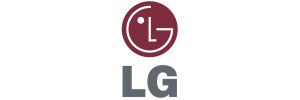 LG of South Korea
