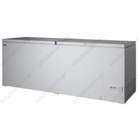 Επαγγελματικός Καταψύκτης Μπαούλο 205.5 εκ.  CL 600 DSL FRESH