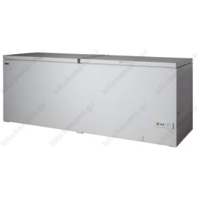 Επαγγελματικός Καταψύκτης Μπαούλο 205.5 εκ.  CL 600 DSL FRESH